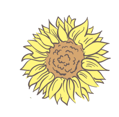 decoration