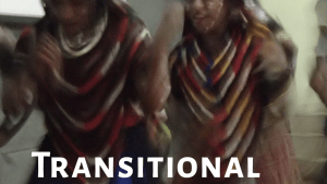 Transitional Justice Handbook